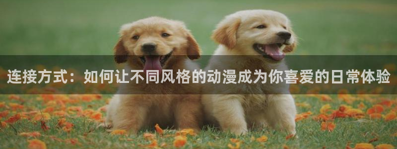 风车动漫大全免费播放：连接方式：如何让不同风格的动漫成为你喜爱的日常体验